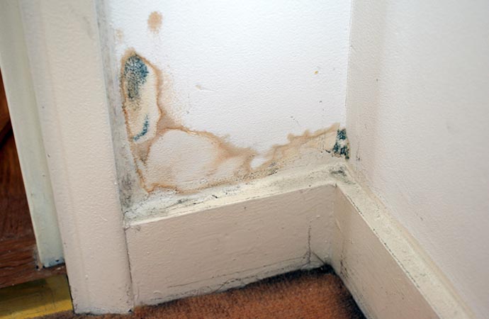 Structural water damage restoration